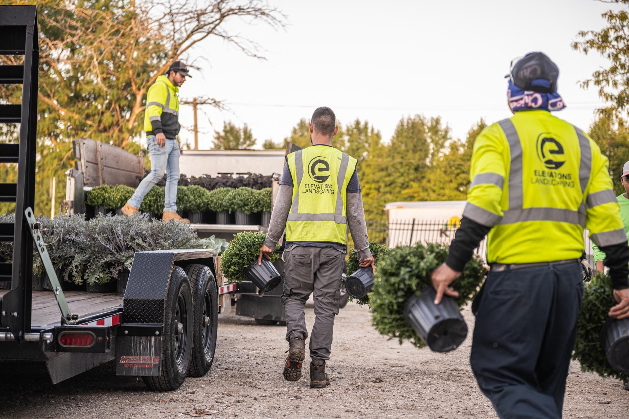 Elevations Landscape enhancements and seasonal planting