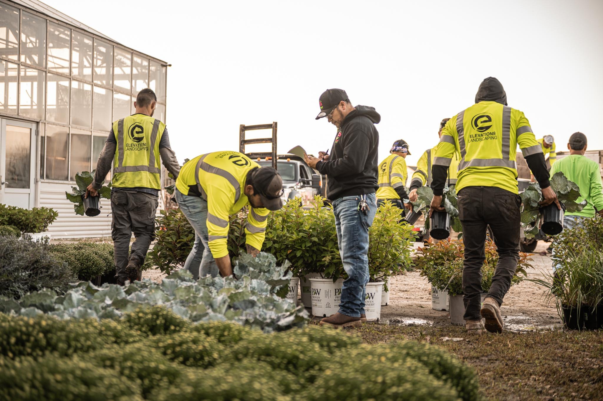 Commercial Landscaping Crew, Season Flowers, Plant Installation