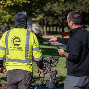 landscape bed design, plant installation and property improvement