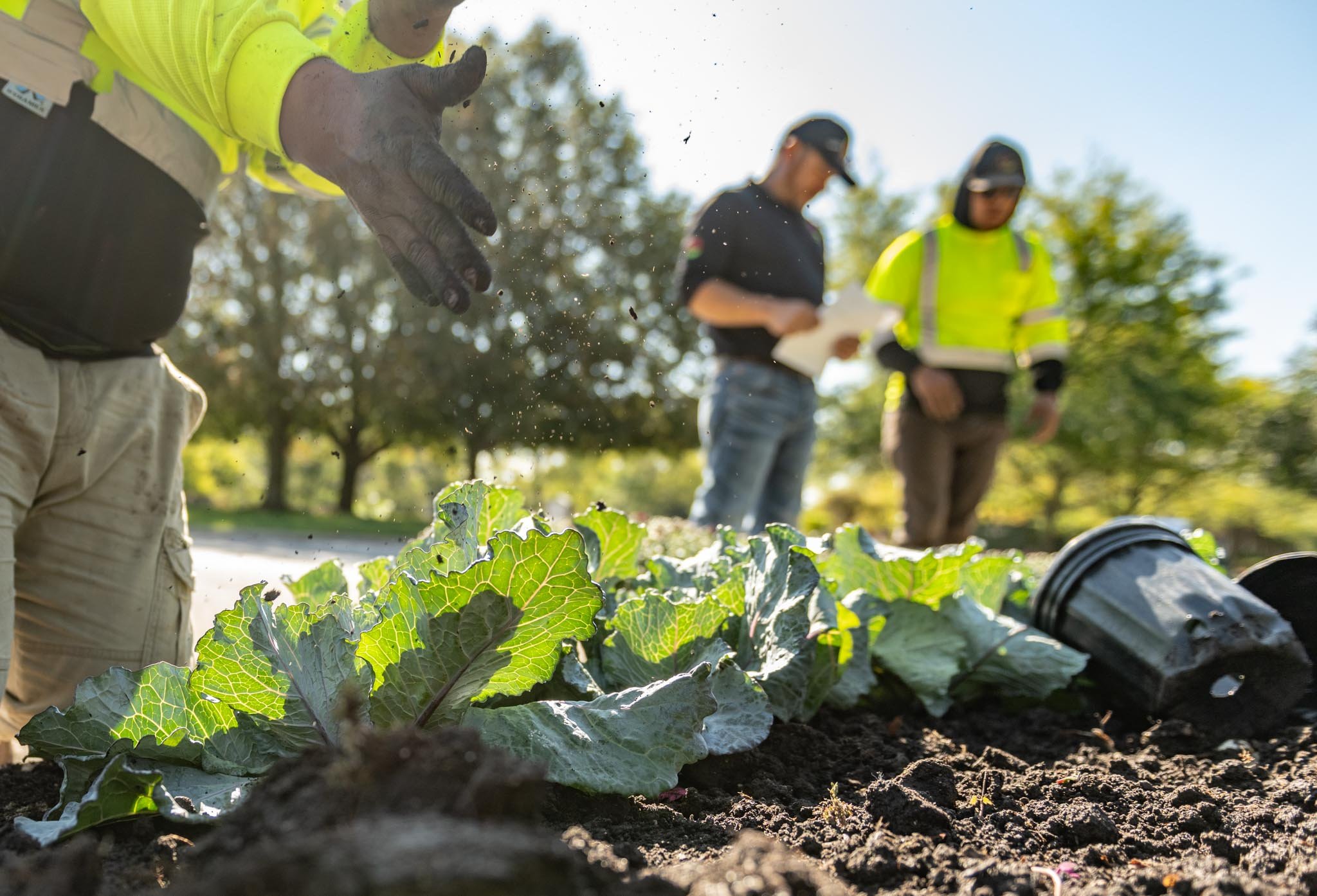 Design and install, seasonal plants, landscape enhancements, flower beds