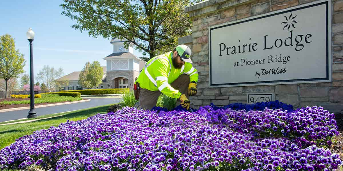 Commercial Landscaping Enhancement Services | Elevations Landscaping
